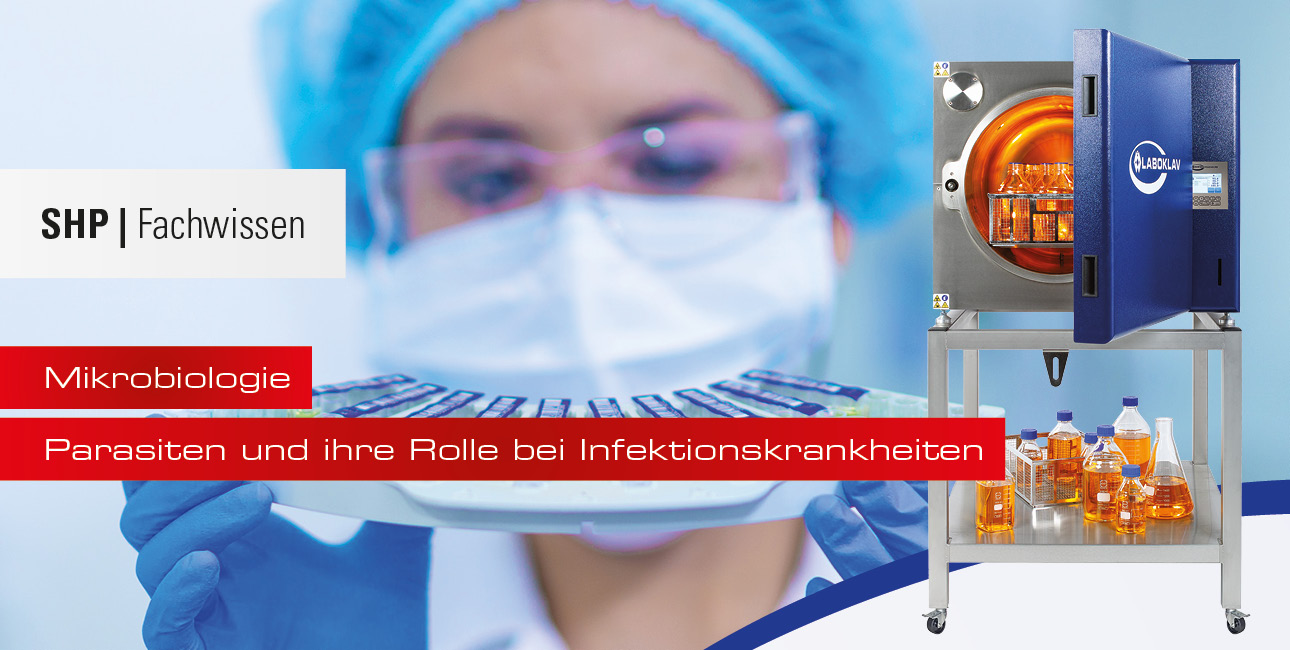 Parasiten und ihre Rolle bei Infektionskrankheiten