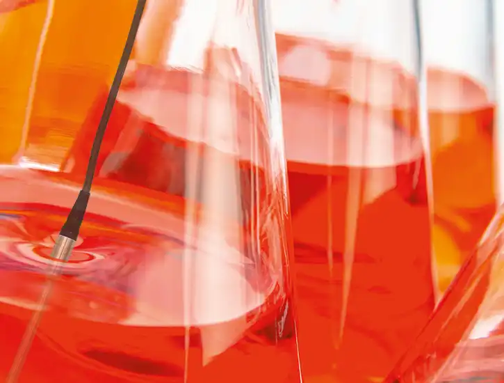 PT 100 reference sensor in Erlenmeyer flask - Sterilization PT 100 reference sensor in Erlenmeyer flask - Sterilization