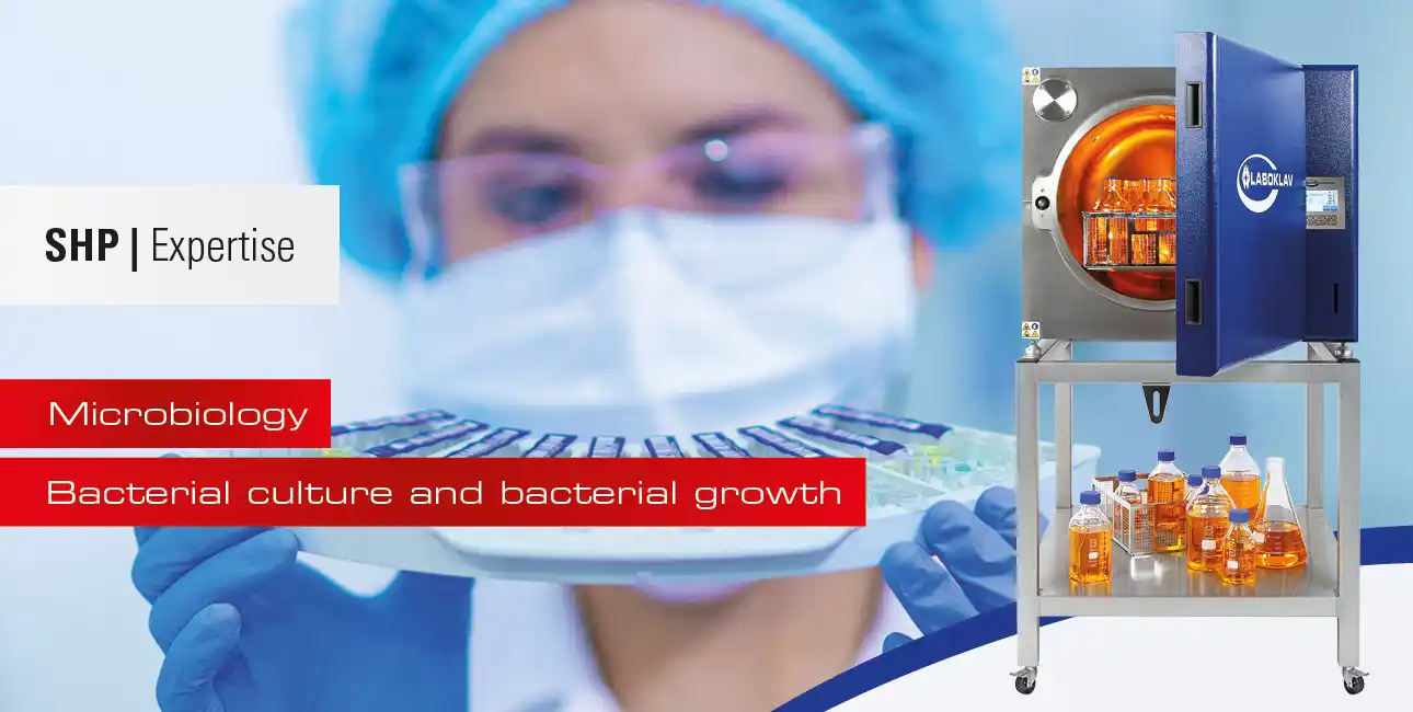 Bacterial culture and bacterial growth