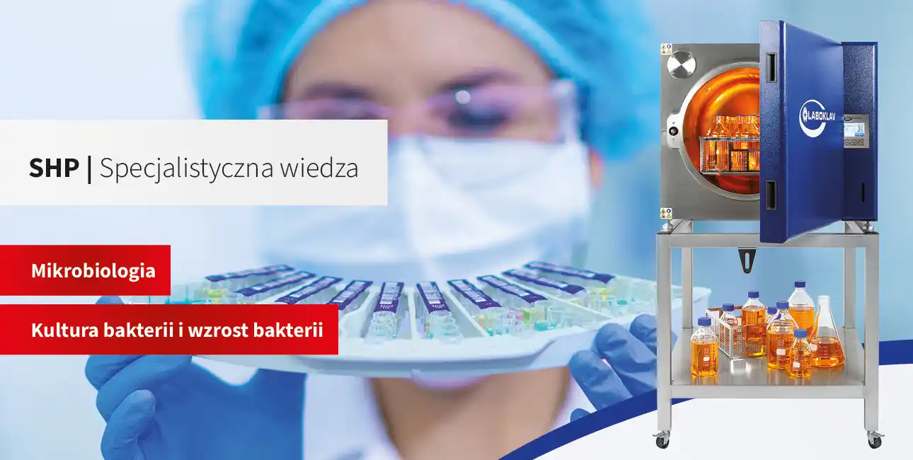 Kultura bakterii i wzrost bakterii