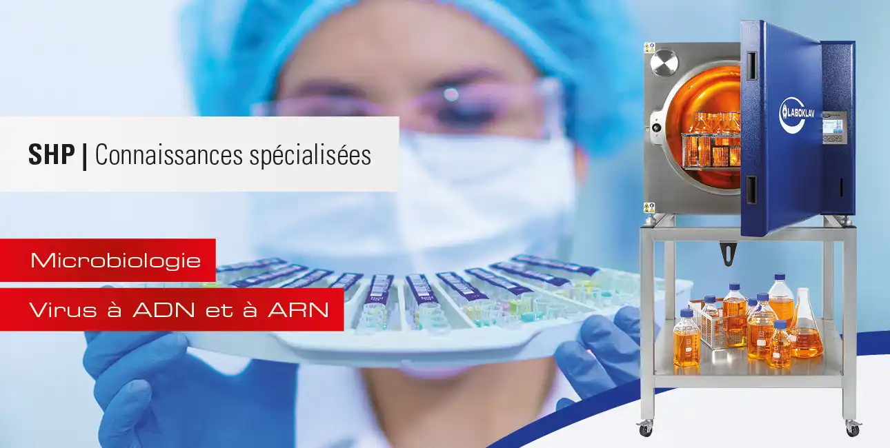 Virus à ADN et à ARN