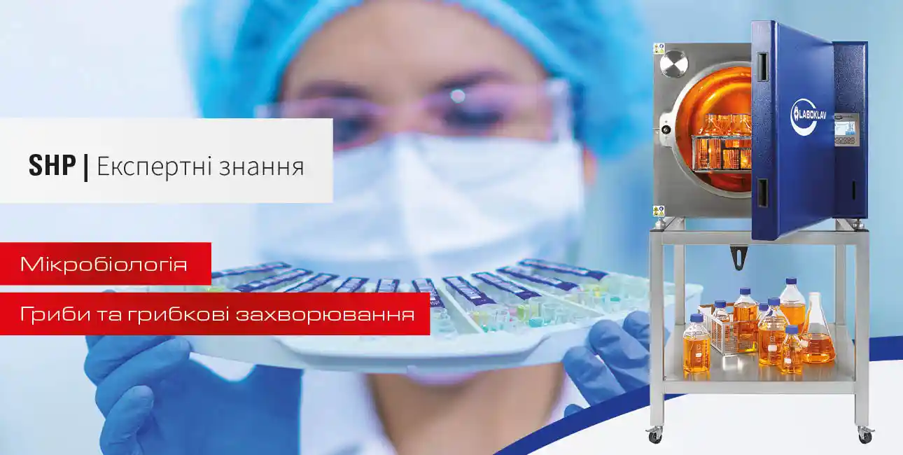 Гриби та грибкові захворювання