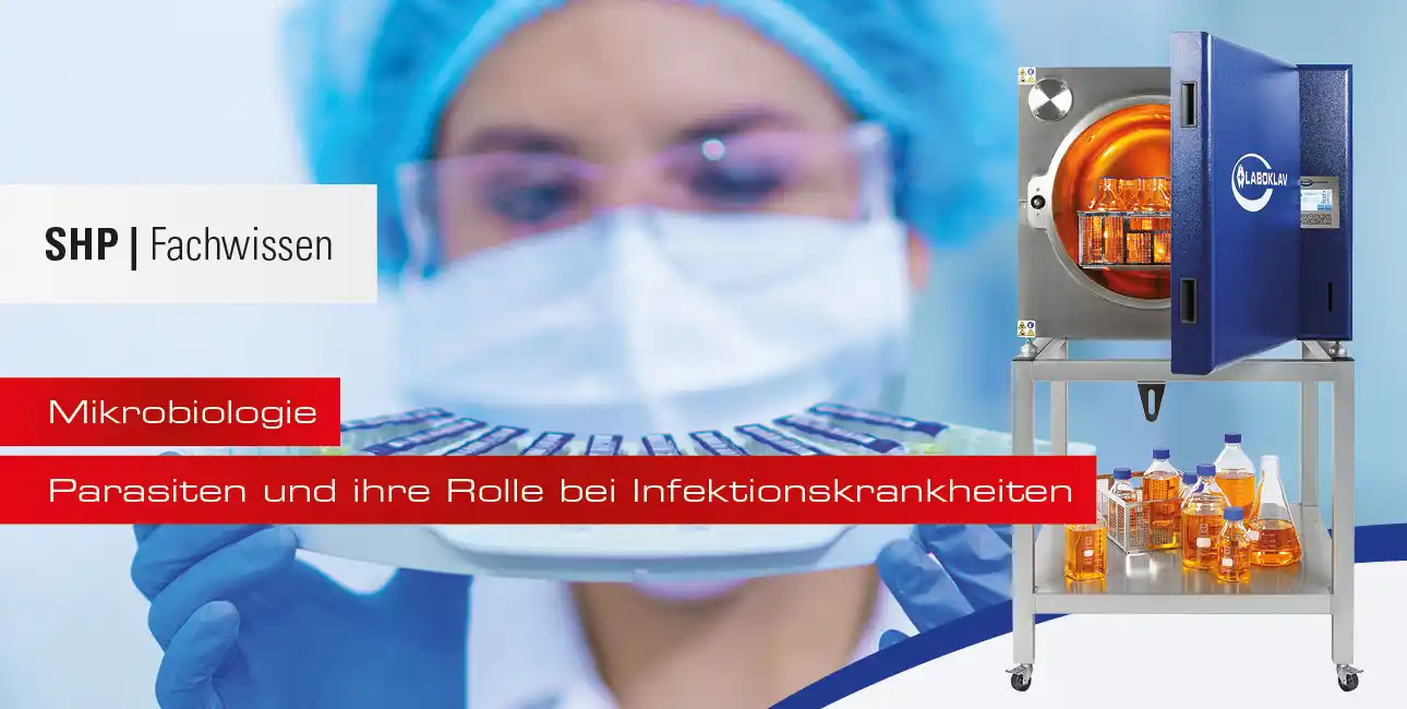 Parasiten und ihre Rolle bei Infektionskrankheiten